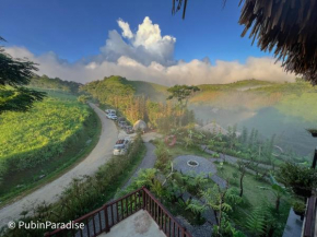 PuBin Paradise